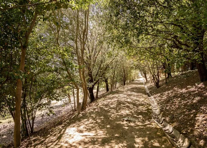 Il Casale - Umbria Rent Vila *